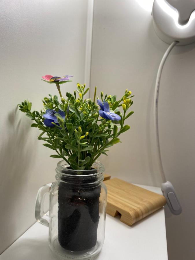 "The Gole Of Alcantara Living In The Dream'S Room" Graniti Buitenkant foto